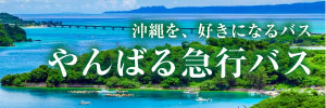 やんばる急行バス