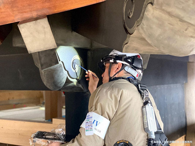 写真提供：国営沖縄記念公園事務所