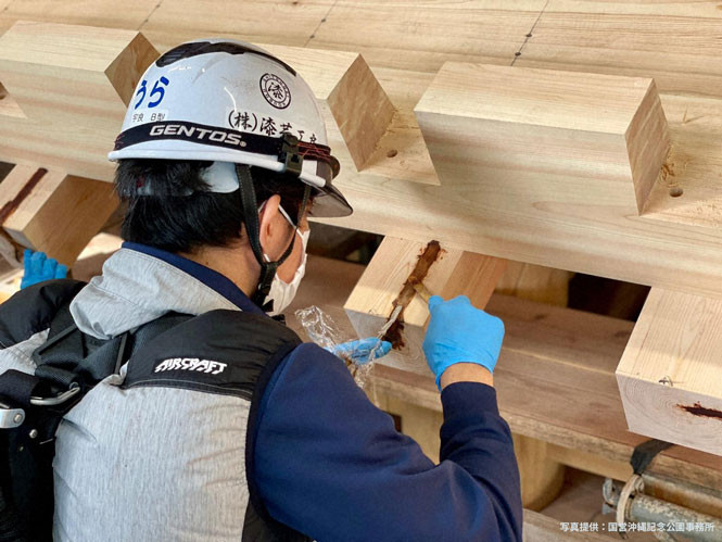 写真提供：国営沖縄記念公園事務所