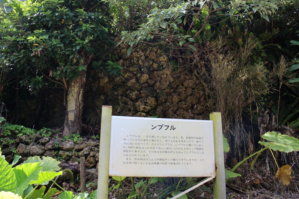 ンブフル丘
