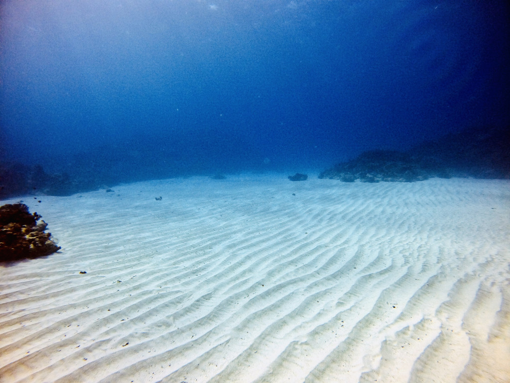 多良間ブルーの砂紋Tarama blue sand ripples：島の周囲がサンゴ礁に囲まれているため、天国のように美しい青い海はダイバー憧れの場所。