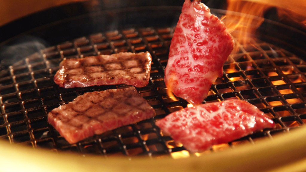 もっとを、もとめて、もとぶ牧場