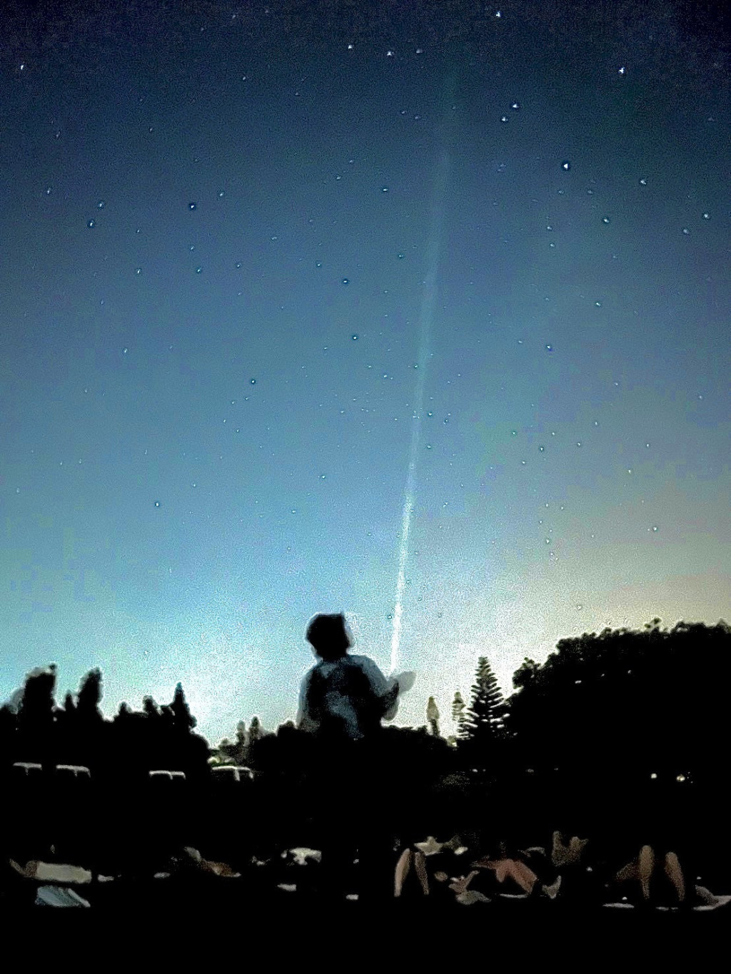 夜空観賞ツアー　星空さんぽ