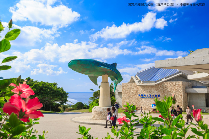 国営沖縄記念公園（海洋博公園）・沖縄美ら海水族館