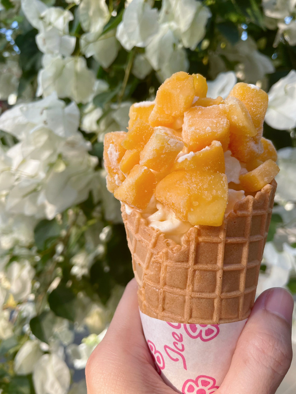 園内で収穫したフルーツをブレンドしたフルーツソフト