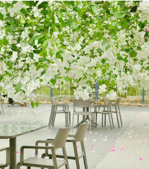 無料で利用できるテラス席