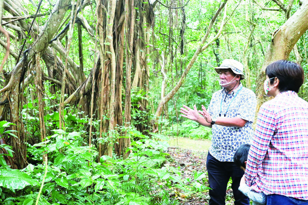 うぷきの森探検