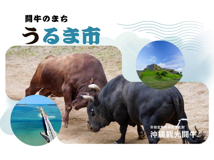 闘牛のまちうるま市
