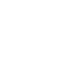 霧
