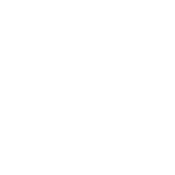 穏やかな雨