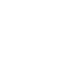 雷を伴う穏やかなまたは強い雨