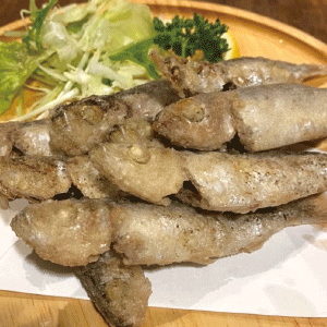 RyukyuFoodBar磊風八