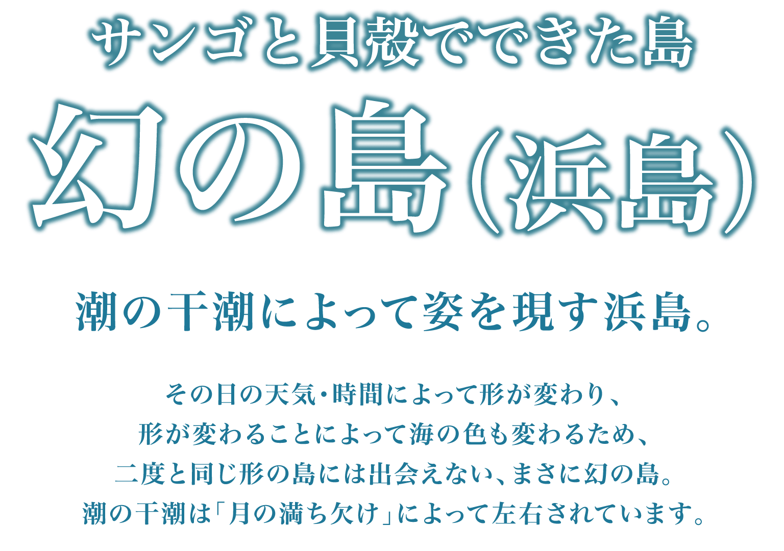 サンゴと貝殻でできた島 幻の島（浜島）