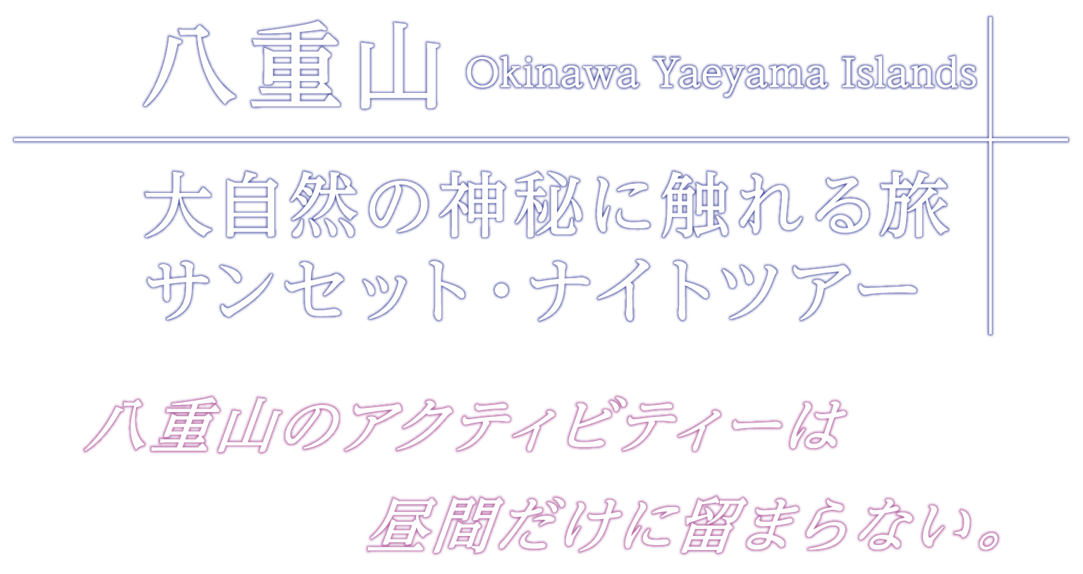 八重山 Okinawa Yaeyama Islands 大自然の神秘に触れる旅 サンセット・ナイトツアー