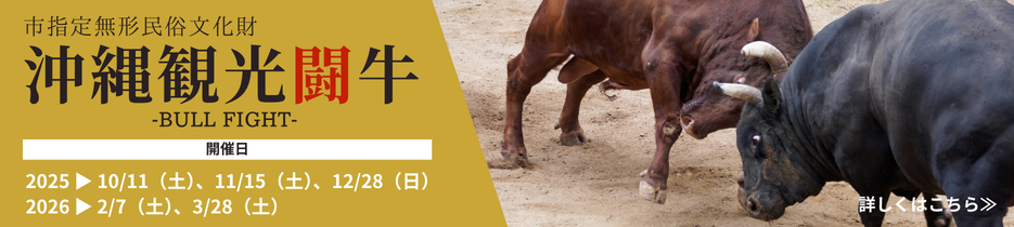 観光闘牛