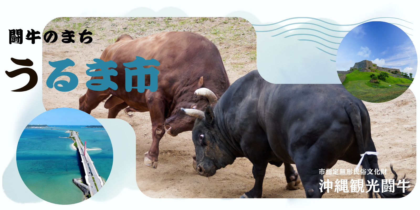 闘牛のまちうるま市